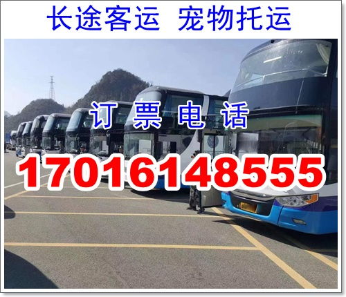 漢中到勉縣汽車多少錢