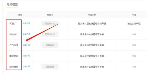 做什么項(xiàng)目有流量賺錢快