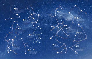 有十二個什么星座