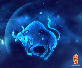 天蝎什么星座守護金牛