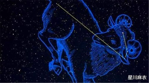 2月14號是什么星座的