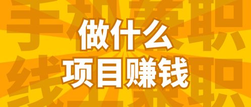 分享一個項目靠什么賺錢