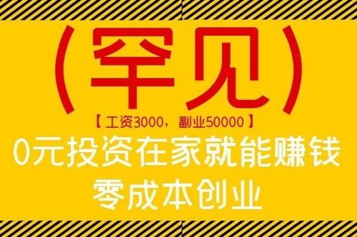 在家做什么項(xiàng)目賺錢最好