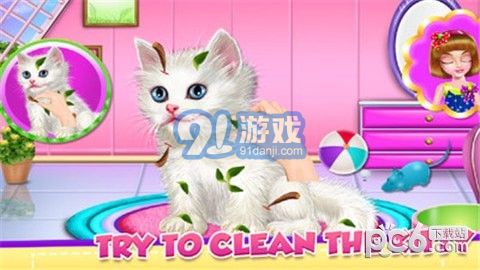 水仙怎么養(yǎng)貓攻略游戲