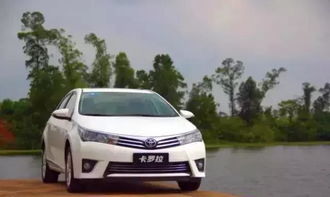 嗩吶汽車多少錢