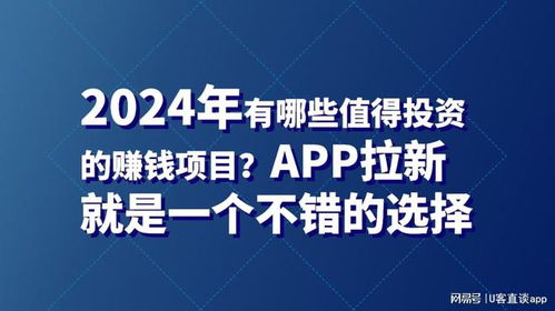 新的賺錢項目叫什么