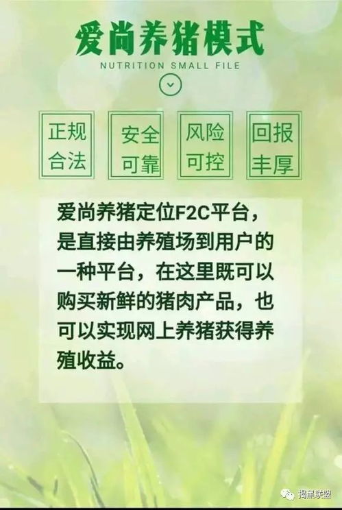 養(yǎng)殖什么項目賺錢快