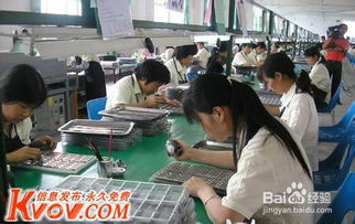 學(xué)校做什么項(xiàng)目賺錢多