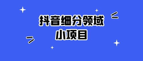 抖音做什么小項目賺錢快 抖音做什么小項目賺錢快