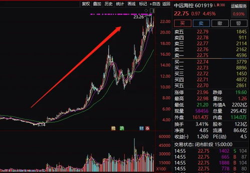縣里什么項(xiàng)目賺錢多一點(diǎn)