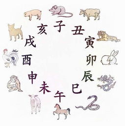 今日運勢生肖運氣如何（今日運勢十二生肖水墨先生算命網(wǎng)）