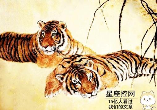 77年屬虎今年運(yùn)勢(shì)如何（77年的人今年運(yùn)勢(shì)怎么樣）