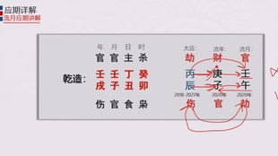 2022年丁巳運勢如何（丁巳今年運氣如何）