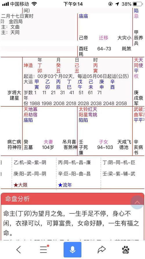 2022年丁巳運勢如何（丁巳今年運氣如何）
