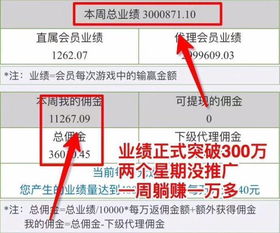 小投資最賺錢的項目是什么,小投資最賺錢的項目是什么項目