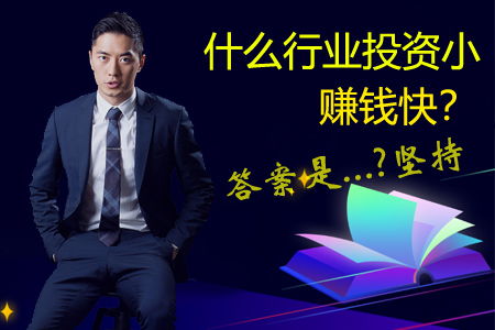 小投資最賺錢的項目是什么,小投資最賺錢的項目是什么項目