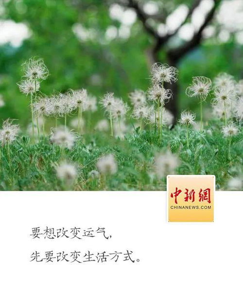 如何調(diào)理自己運勢（怎樣改變自己運勢）