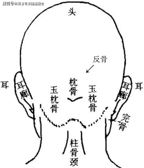 反掌的人運勢如何（反掌什么意思）