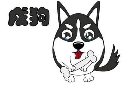 今年十二生肖狗運(yùn)勢(shì)如何（今年生肖狗運(yùn)勢(shì)怎么樣）