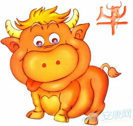 屬牛財(cái)運(yùn)運(yùn)勢(shì)如何（屬牛的財(cái)運(yùn)和運(yùn)氣如何）