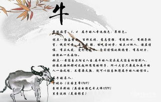 師道生肖運(yùn)勢如何看（師道解惑）