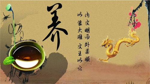 道家生肖運勢如何看（道家的生肖有哪些）