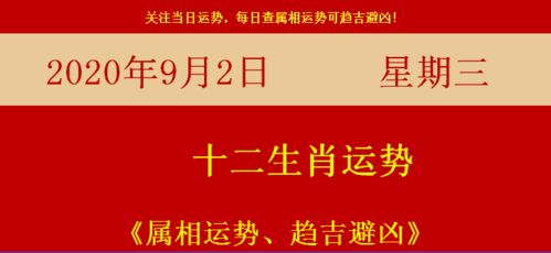 每天運(yùn)勢如何查詢（每日運(yùn)勢怎么查）