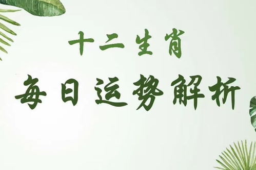 目前感情運(yùn)勢(shì)如何（感情運(yùn)勢(shì)算命）