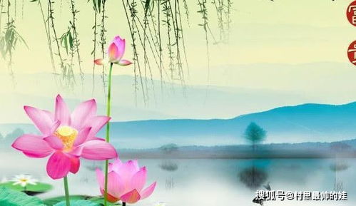 現(xiàn)在農(nóng)歷運(yùn)勢(shì)如何呢（農(nóng)歷今年的）