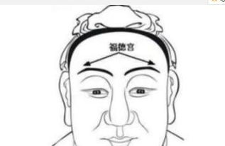 面相如何提升運勢（如何改變面相增加氣運）