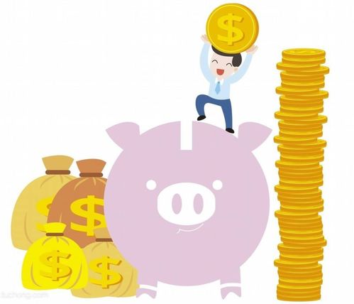 大金豬未來運勢如何（金豬今年運氣怎么樣）