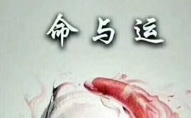 晚年的運(yùn)勢(shì)如何（晚年運(yùn)是多大歲）