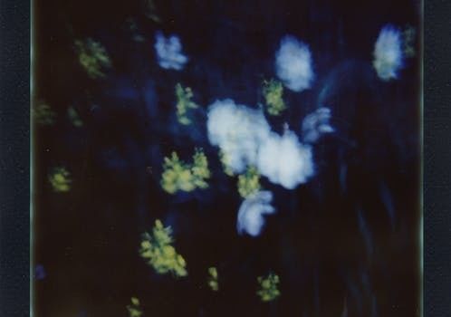 水瓶明日的運(yùn)勢(shì)如何（水瓶座明日運(yùn)勢(shì)美國(guó)神婆網(wǎng)）