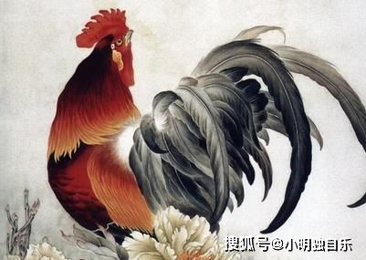 雞狗生肖運(yùn)勢如何（屬雞 狗）
