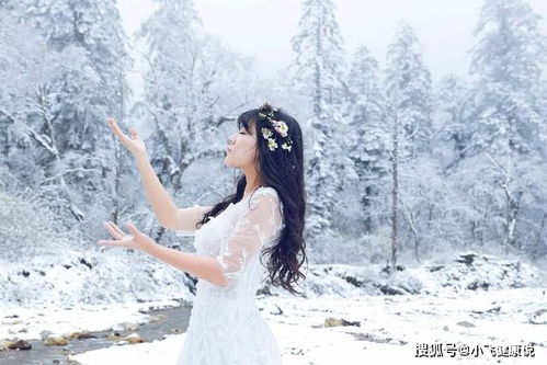 富士康做什么項目好賺錢,富士康適合做什么生意