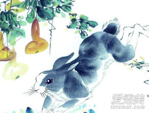 屬兔人七月份運(yùn)勢(shì)如何（屬兔的7月運(yùn)勢(shì)如何）