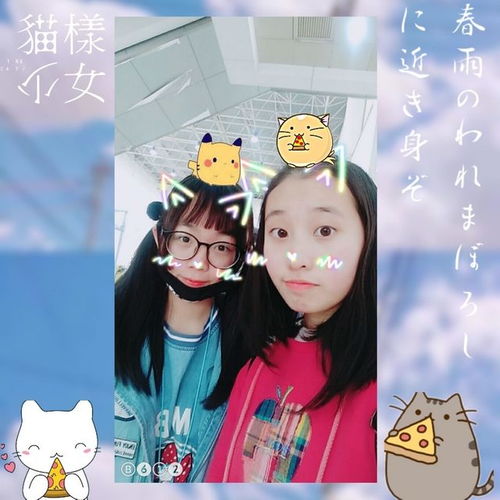 我要看畫什么星座,我要看畫十二星座的圖片