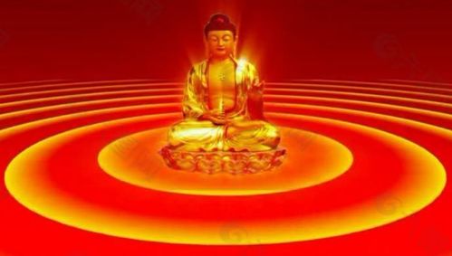 明天蛇運(yùn)勢(shì)如何（蛇年明天運(yùn)程）
