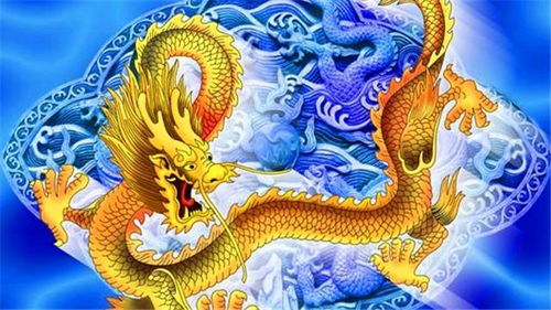 龍女屬雞的運(yùn)勢如何（屬龍女屬雞男的姻緣）