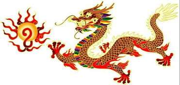 屬龍的每月份運勢如何（屬龍每個月運勢如何）