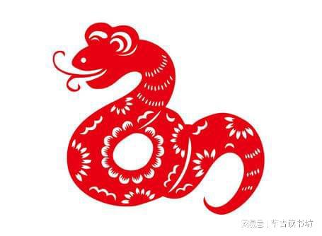 蛇今年發(fā)展運勢如何（蛇年在今年的運勢）
