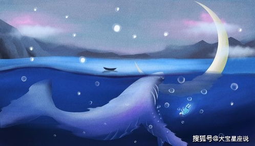 白羊座下年感情運(yùn)勢(shì)如何（白羊座下一年的運(yùn)勢(shì)）