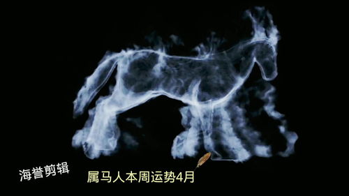 4月屬雞射手座運(yùn)勢(shì)如何（4月屬雞人運(yùn)勢(shì)如何）