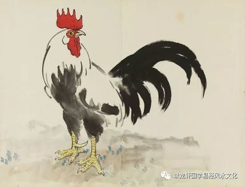 雞的2018運(yùn)勢如何（屬雞2018年運(yùn)勢及運(yùn)程每月運(yùn)程）