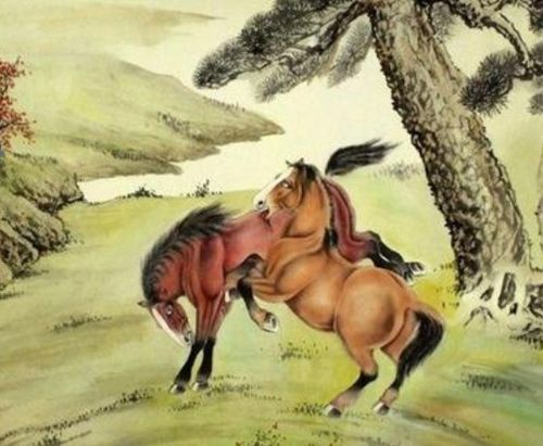 男蛇女馬運勢如何（男蛇女馬性格合嗎）
