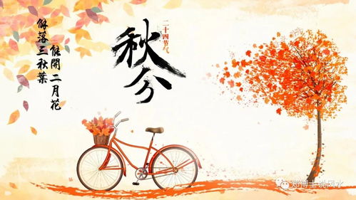 如何調(diào)整運勢旺（怎樣調(diào)整自己的運勢）