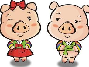 生肖亥豬感情運(yùn)勢(shì)如何（生肖亥豬感情運(yùn)勢(shì)如何呢）