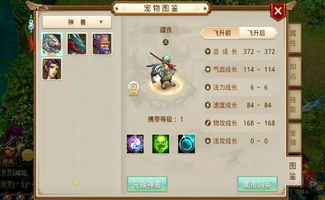 問到游戲攻略怎么回答好,游戲攻略怎么找 問到游戲攻略怎么回答好,游戲攻略怎么找