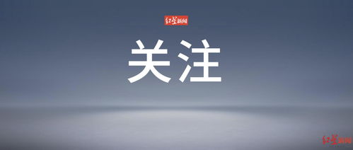 如何看運勢書（運勢在哪看）