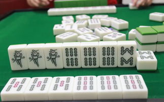 蛇打麻將運勢如何（蛇打麻將方位）